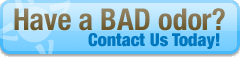 Contact Us Button