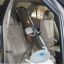 EnviroFix_Car_Odor_removal2